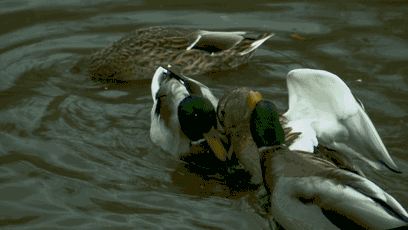 有它,你可以把所有时间变慢